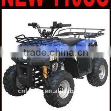 2011 NEW MINI 110CC QUAD ATV(MC-312)