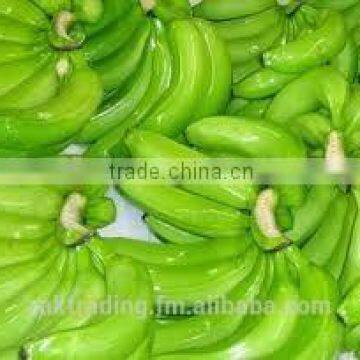 Fresh Banana photo-3