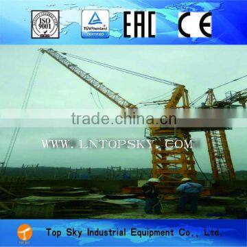 TD2020-6 Derric* Crane