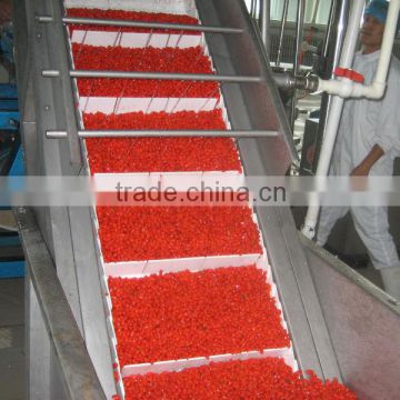 2014's crop organic and low pesticide gojiberry selling in good price