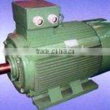Y2 Series Three-phase Synchronous Motor