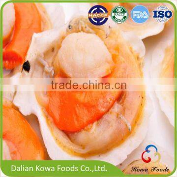 IQF Fresh Frozen Scallop (Half Shell)