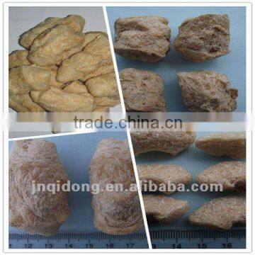 soya beans nuggets protein food process machine