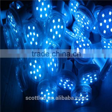 45mm ws2801 5050 rgb led pixel module,IP68 waterproof DC12V full color RGB string christmas outd LED light