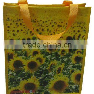 laminated non woven bag