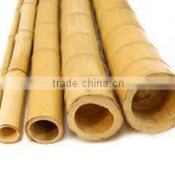 Cheap Price Bamboo Pole from Vietnam