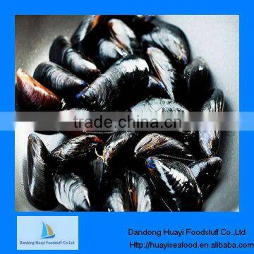 high quality frozen mussel meat iqf