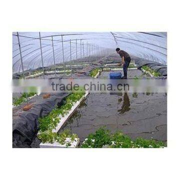 tialpia aquaculture with plastic ponds