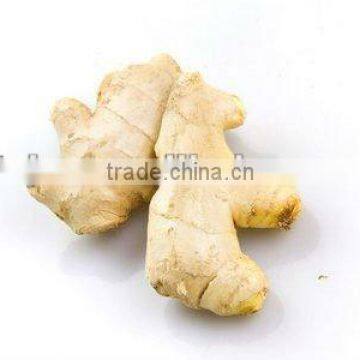 Air Dried Ginger