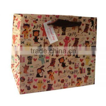 Beautiful Paper Bag for shopping,gift, garment