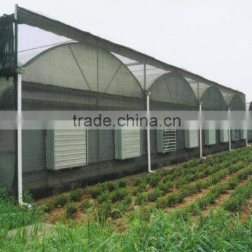 Plastic Film Multi Span Agriculture Greenhouse photo-2