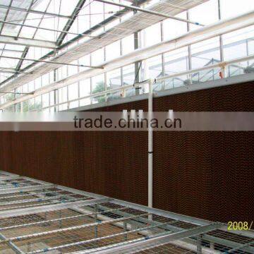 Network Type Kyws 9.6m Glass Greenhouse photo-3