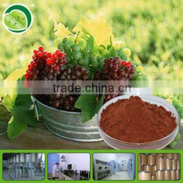 Pure grape seed plant extract OPC 95%