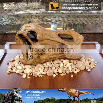 MY Dino-C086 Museum t Rex Dinosaur Head Skeleton photo-6