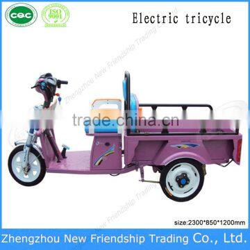 Cargo carrier tricycle agricultural cargo tricycle electric with ce approved