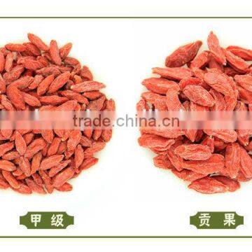 NingXia lowest dried price goji berry with best quality