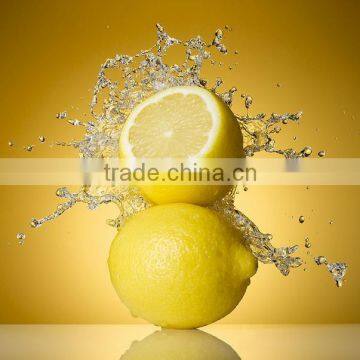 Natural instant dried lemon powder made in China