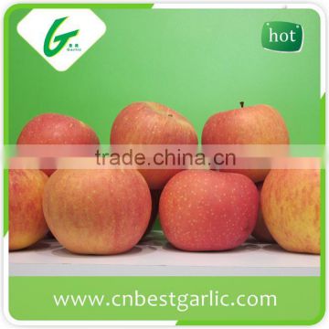 Naturally sweet fresh fuji apple from China