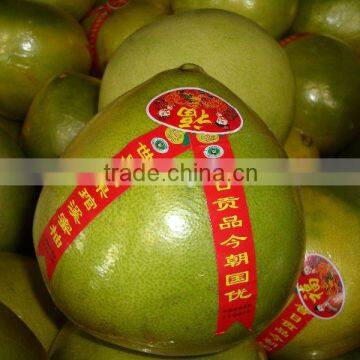 Chinese Fresh Pomelo