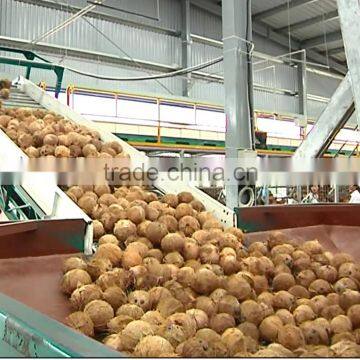 Desiccated Coconut High Fat in Viet Nam photo-2