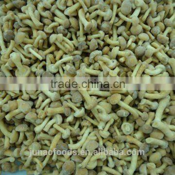 New Season Iqf Nameko Mushroom Export Price photo-2