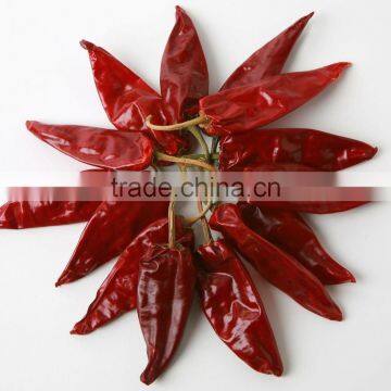 Dry Red Costeno Chili