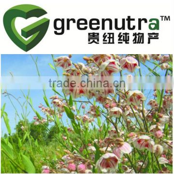 Dogbane Leaf Extract