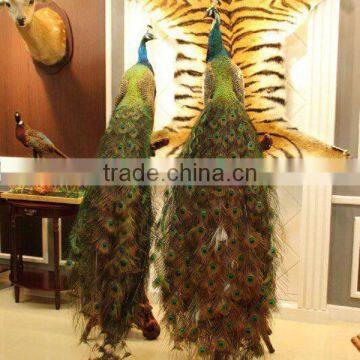 high end outdoors peacock christmas decorations