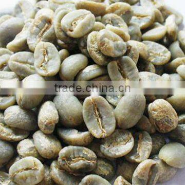 green coffee bean arabica type coffee beans