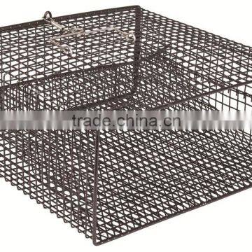 American Wire mesh crayfish trap