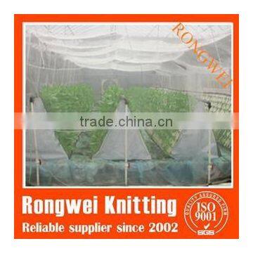 Agriculture plastic insect netting/anti-insect net