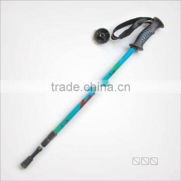 rattan cane