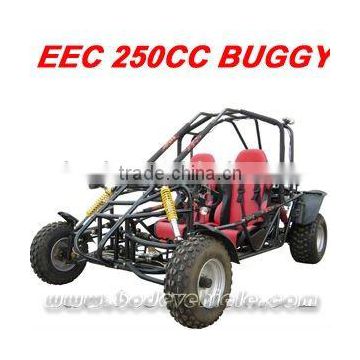 EPA 250CC BUGGY Popular