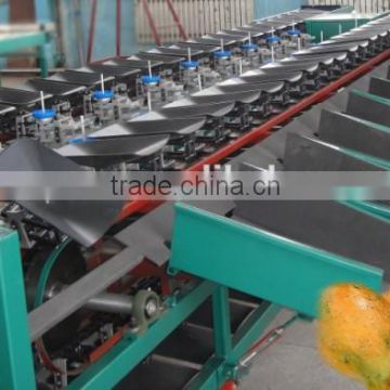 Papaya Grading Machine Sorter Grader