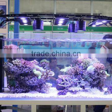 Hot Selling Programmable Full Spectrum Sunrise and Sunset Coral Reef Used Led Aquarium Light photo-5