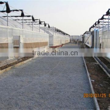 Chinese Large 10 meters Multi-Span Plastic Film Greenhouse, Vegetables Greenhouse