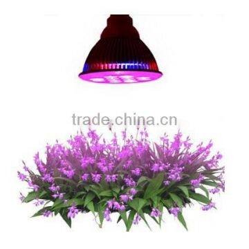 Online Led Lighting Shop Sell Lights Used to Grow Plants That Grow From Bulbs photo-2