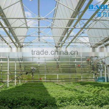 BLD Large Multi-span PE Greenhouse for Fruits photo-3