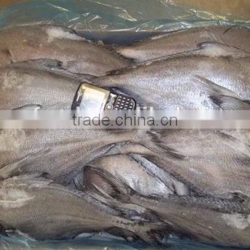 Frozen Brama Fillet,Skinless &PBO & 20%Glazing photo-3