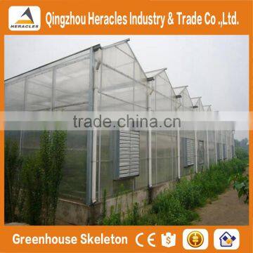 Heracles Versatile Multi Span Poly Film Greenhouse for Hydroponic Growing Systems of NFT and Soilless Systems photo-4