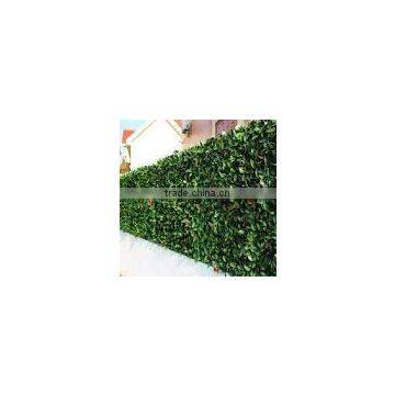 Garden Decoration Fence Plastic Outdoor Fence Artificial Boxwood Hedges photo-4