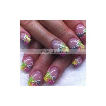 Attractive Nail art printing Machine with pc in india