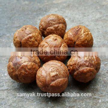 Buddha Chitta 14 Beads Bodhi Seed Genuine Indonesian Phoenix Eye Mala Phrengba photo-6