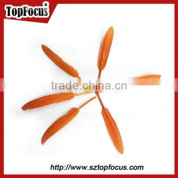 Cheap Dyed Any Color Indian Feather Headdress Down Goose Feather photo-4