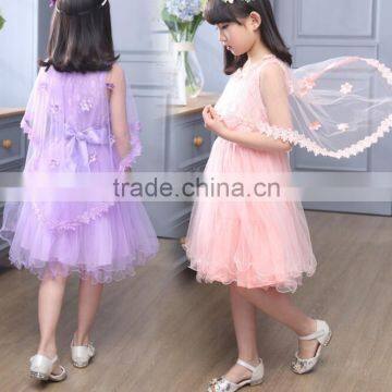 Zm50279b Summer New Style Child Clothes Wholesale Girls Princess Dress photo-2