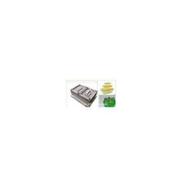 plastic injection dinner boxes mould