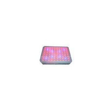 460nm 10800Lm Indoor LED Grow Lights For Tomatoes / Lettuce 60pcs X 3w