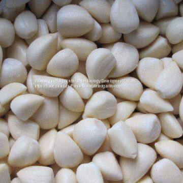Garlic Clove photo-2