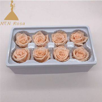 Grade a 4-5cm Long Life Preserved Rose flower for Centerpiece Arrangements