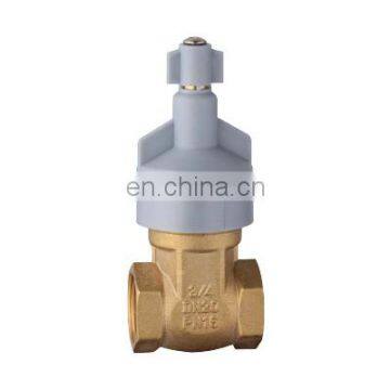 BT4012 plastic and brass  gate valve